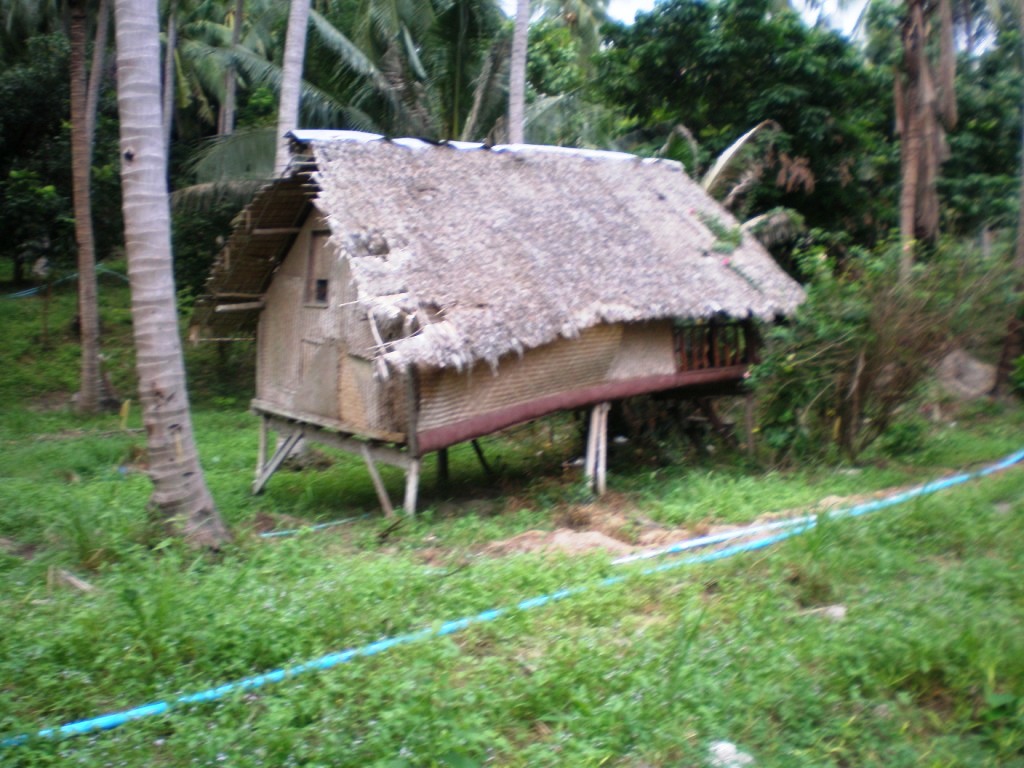 P1010343